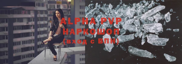 индика Алексин