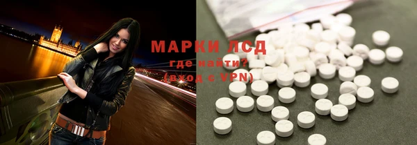 индика Алексин
