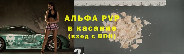 индика Алексин