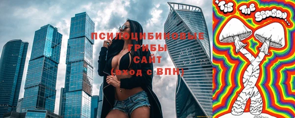 индика Алексин