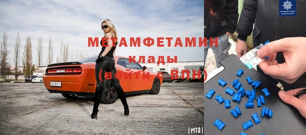 индика Алексин