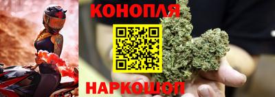 ECSTASY Бийск