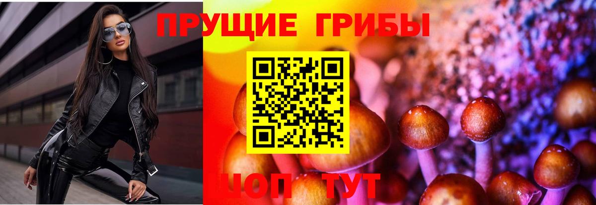 сколько стоит  Вход с VPN  Батайск  Псилоцибиновые грибы Psilocybine cubensis 
